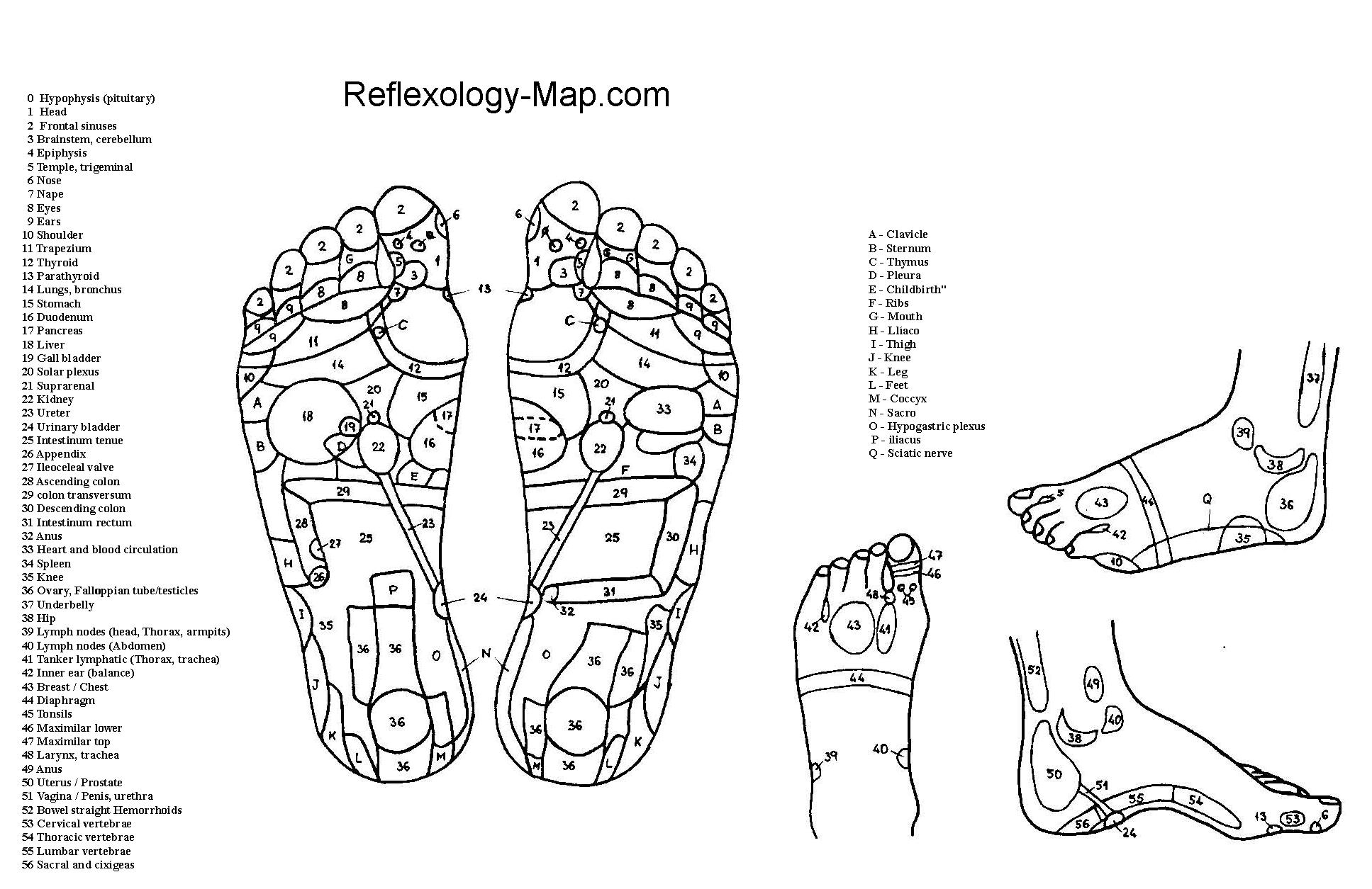 foot reflexology massage wollongong illawarra remedial