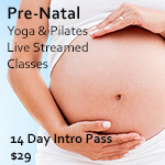 prenatal pregnancy classes wollongong yoga barre pilates