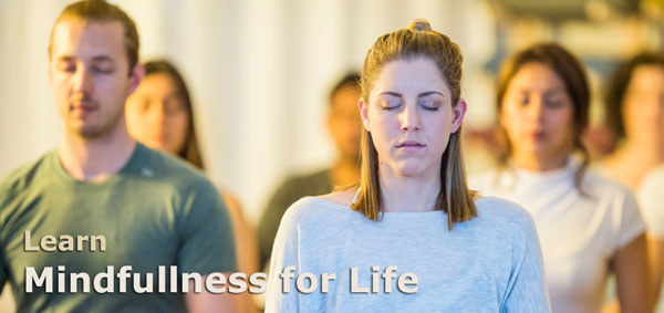 Mindfulness Meditation Wellness Centre Wollongong Course for Life