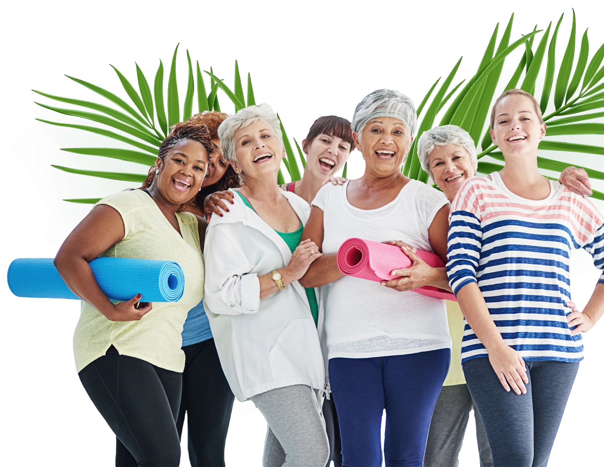 Healthy Aging ladies at the Wellness Centre Wollongong Classes